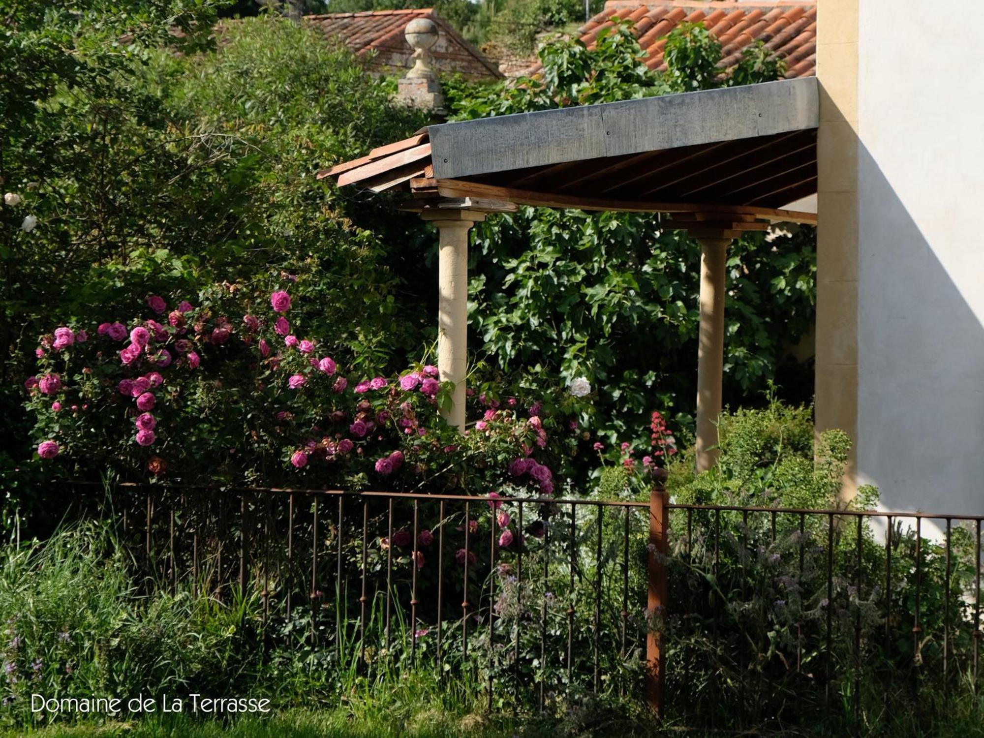 Apartmán Domaine De La Terrasse Carbonne Exteriér fotografie